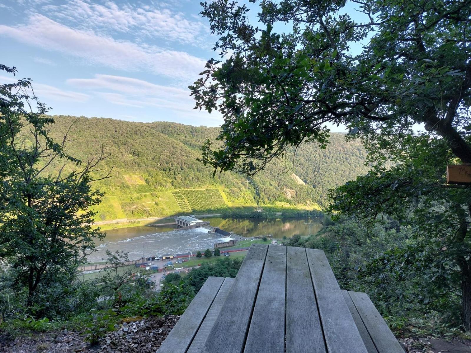 Ferienwohnung Moselliebe Lehmen Bagian luar foto