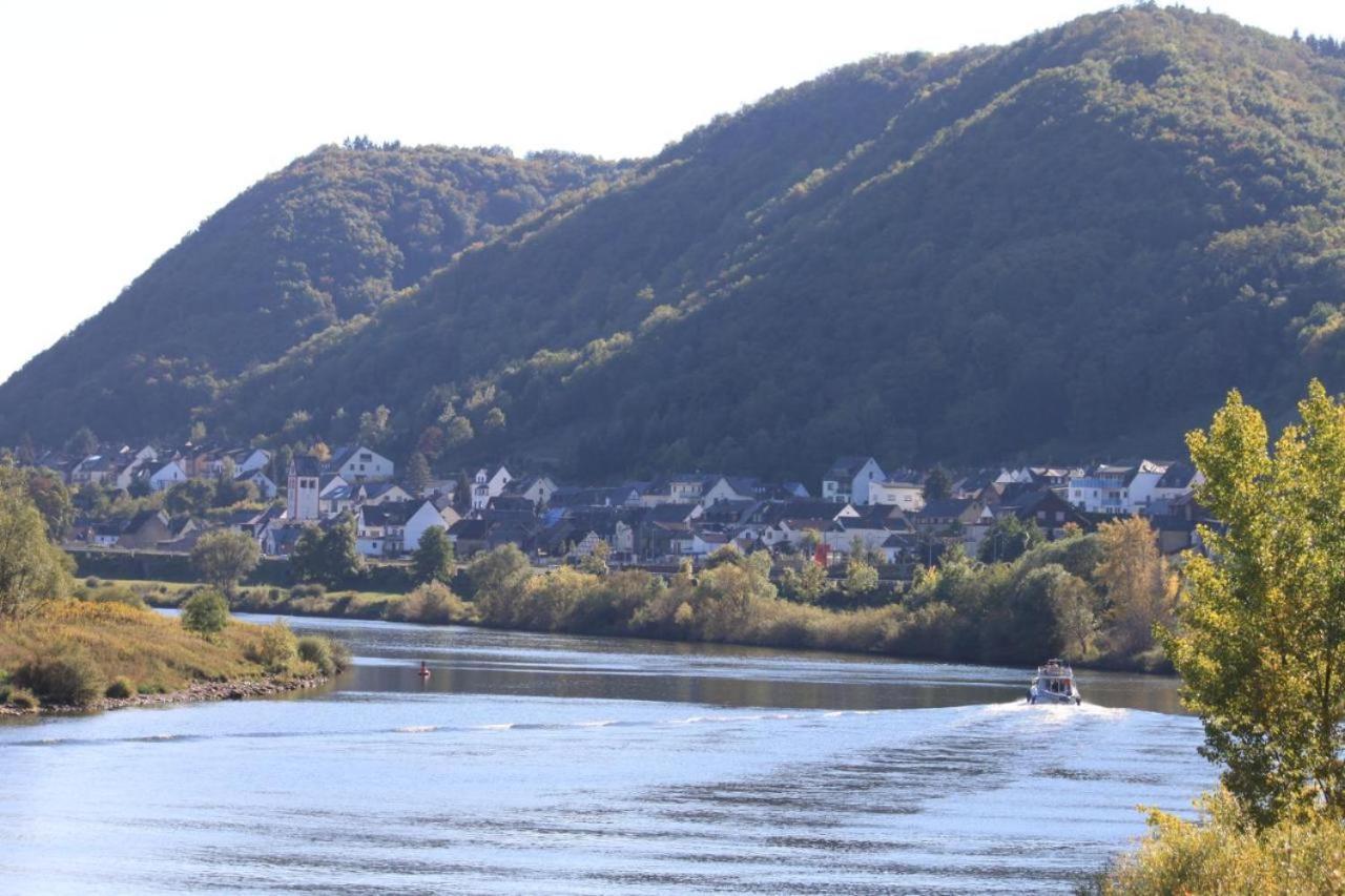 Ferienwohnung Moselliebe Lehmen Bagian luar foto